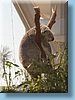 australia_390.jpg