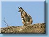 australia_395.jpg