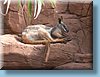 australia_397.jpg