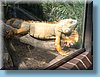 australia_432.jpg