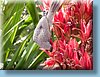 australia_436.jpg