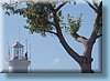 colonia_38.jpg