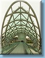 georgia_031.jpg