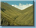 georgia_118.jpg