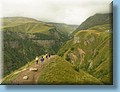 georgia_144.jpg
