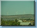 georgia_161.jpg