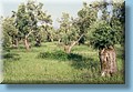 greece_19.jpg