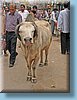 india_25.JPG