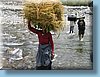 india_47.JPG