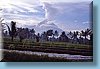 indonesia_04.jpg