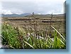 irland_18.JPG