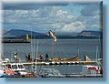 island_010.jpg