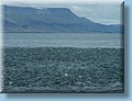 island_038.jpg