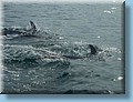 island_043.jpg