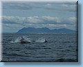 island_048.jpg
