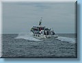 island_049.jpg