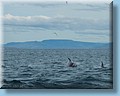 island_050.jpg