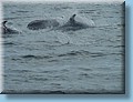 island_051.jpg