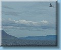island_052.jpg