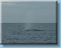 island_053.jpg