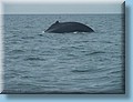 island_054.jpg