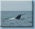 island_055.jpg