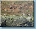 island_058.jpg