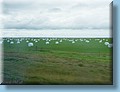 island_067.jpg
