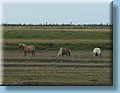 island_071.jpg