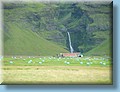 island_075.jpg