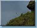 island_088.jpg