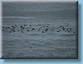 island_112.jpg
