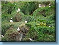 island_115.jpg
