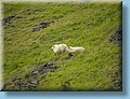 island_119.jpg