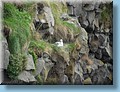 island_124.jpg