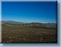 island_141.jpg