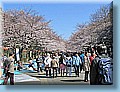 japan_18.jpg