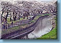 japan_19.jpg