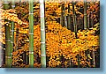 japan_52.jpg