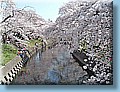 japan_60.jpg