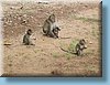 khmer_070.jpg