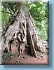 khmer_095.jpg