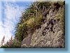machu_45.jpg