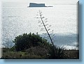 malta_162.jpg