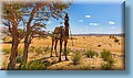 maroc_118.jpg