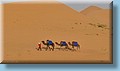 maroc_143.jpg