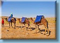 maroc_151.jpg