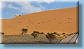 maroc_155.jpg