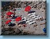 montenegro_018.jpg