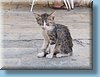 montenegro_066.jpg